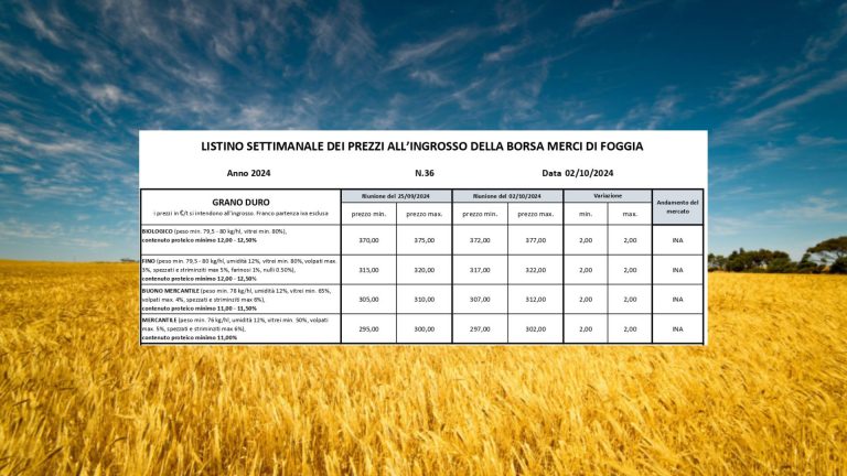 Grano duro, irrisorio aumento di 2 euro a tonnellata a Borsa Foggia (2 ottobre). In 2 anni persi 178 euro/t. (-36% valore)