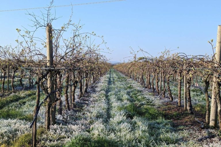 Agricat. Preoccupazione Asnacodi: c’è la richiesta di un tavolo di confronto