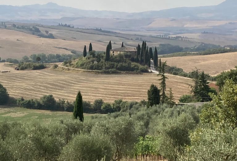 San Quirico d’Orcia, dal 6 all’8 dicembre torna capitale dell’olio extravergine d’oliva di qualità. Con l’anteprima di Ognissanti