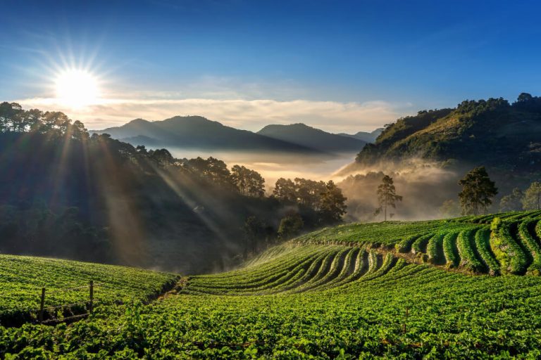 Agricoltura di collina e di montagna tra attività d’impresa e presidio del territorio, incontro ai Georgofili