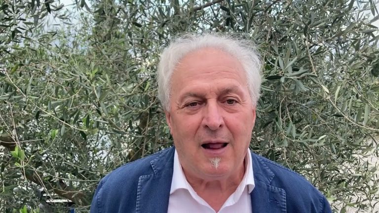 Raccolta olive: ecco i fattori che determinano la resa. Cresti: Ma da fine ottobre l’olio non aumenterà più