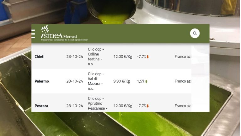 Olio d’oliva. Prezzi (26 novembre) stabili per l’extravergine, uniche variazioni a Foggia (+4,5%) e Bari (-1,7%). Quotazioni pressoché invariate per le DOP