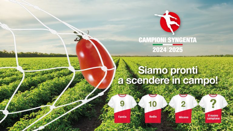 Campioni Syngenta: insieme per vincere il campionato del raccolto