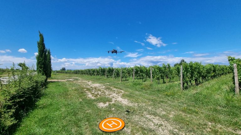 In Franciacorta arriva Vineagest, la smart agricolture legata al mondo del vino