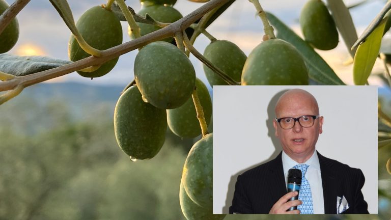 Olio extravergine d’oliva, Battista (Copagri): Prezzo su scaffale 9.50 euro litro, servono politiche per rilanciare consumi. Le rese stanno risalendo