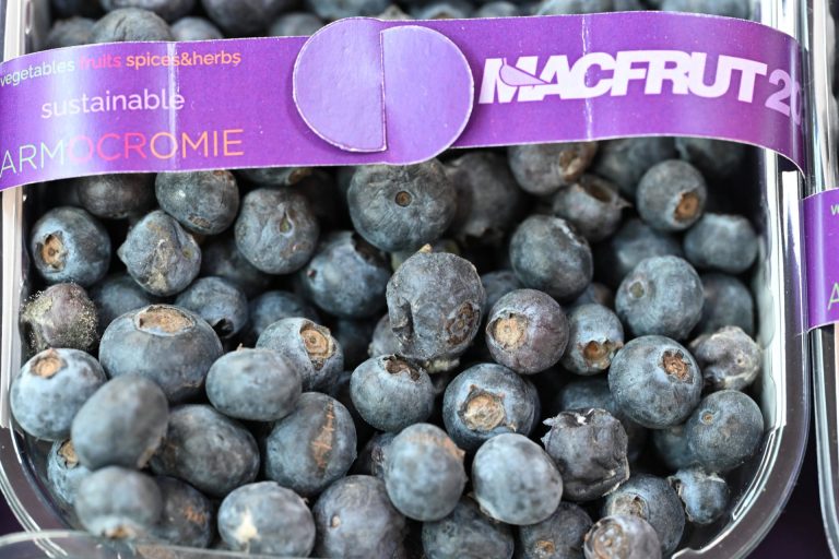 A Macfrut torna la filiera del Berry (mirtillo), settore da 40 miliardi di dollari