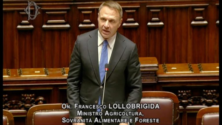 Question Time del Ministro Lollobrigida alla Camera dei Deputati