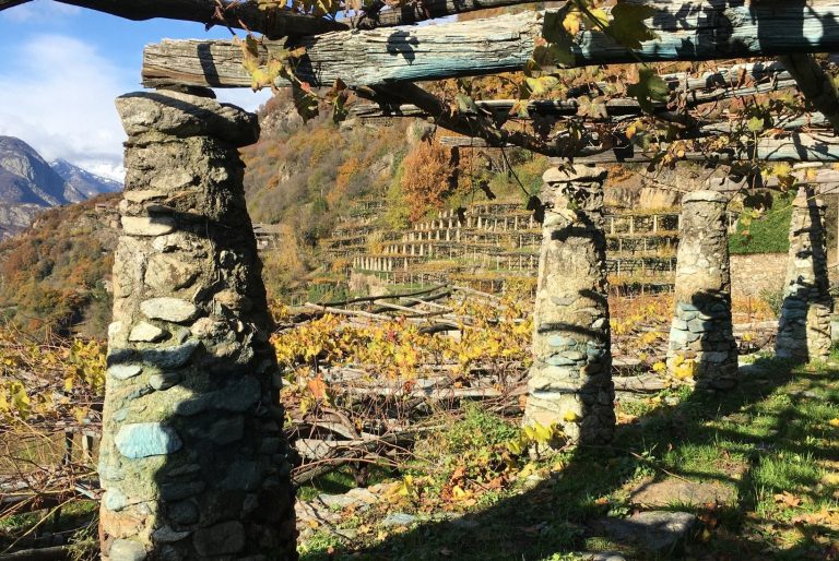 Vigneti eroici del Mombarone (Piemonte) entrano nel Registro nazionale del paesaggio rurale