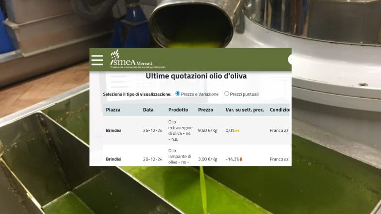 Olio d’oliva: prezzi stabili (27 dicembre), media extravergine a 10,17 euro/kg. A Bari stesso valore olio Dop e nazionale