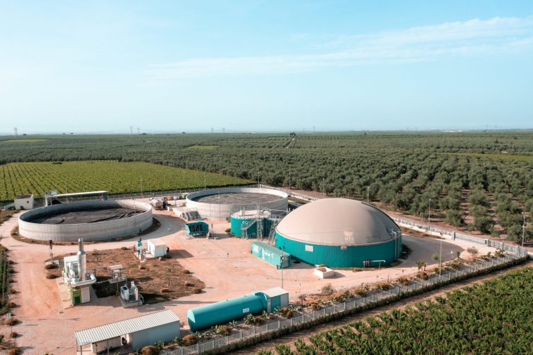 Energia dagli scarti della filiera dell’olio. BTS Biogas brevetta sistema che produce biogas usando solo sansa