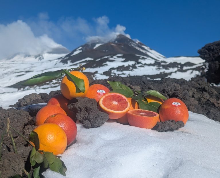 L’Arancia Rossa di Sicilia Igp omaggia l’Etna. Al via il nuovo raccolto