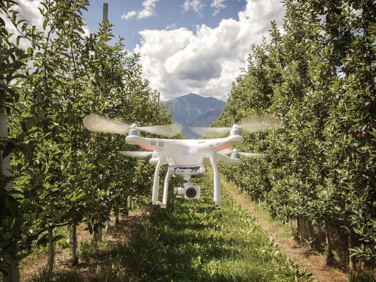 Cambiamento climatico in agricoltura. Con Agriclima nasce piattaforma tecnologica per la mitigazione dei rischi e lo scambio sicuro dei dati