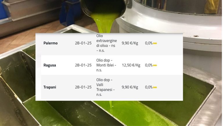 Olio d’oliva, in calo al 28 gennaio l’extravergine in Puglia (media 9,23 euro/Kg), valori stabili nelle altre piazze. Quotazioni invariate per Dop e Igp