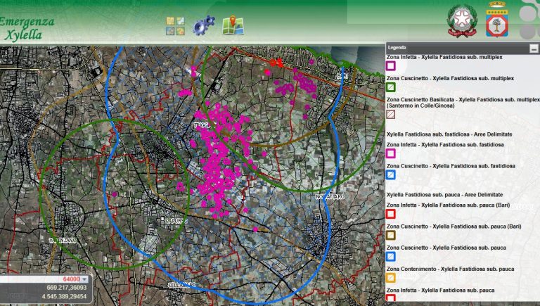 Xylella. Il piano di eradicazione a Triggiano e nel Sud-Est Barese