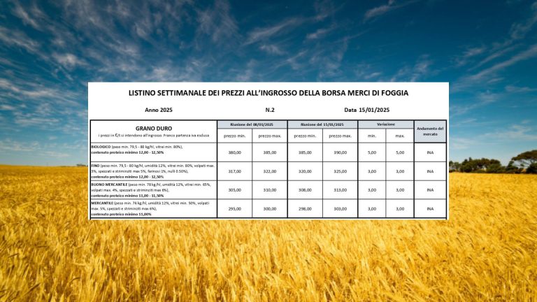 Grano duro: quotazioni in aumento di 3 euro per il Fino a Borsa Merci Foggia (15 gennaio). Ora vale 320-325 euro a tonnellata