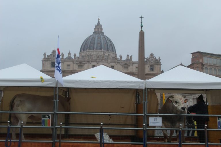 AIA porta gli animali a San Pietro il 17 gennaio