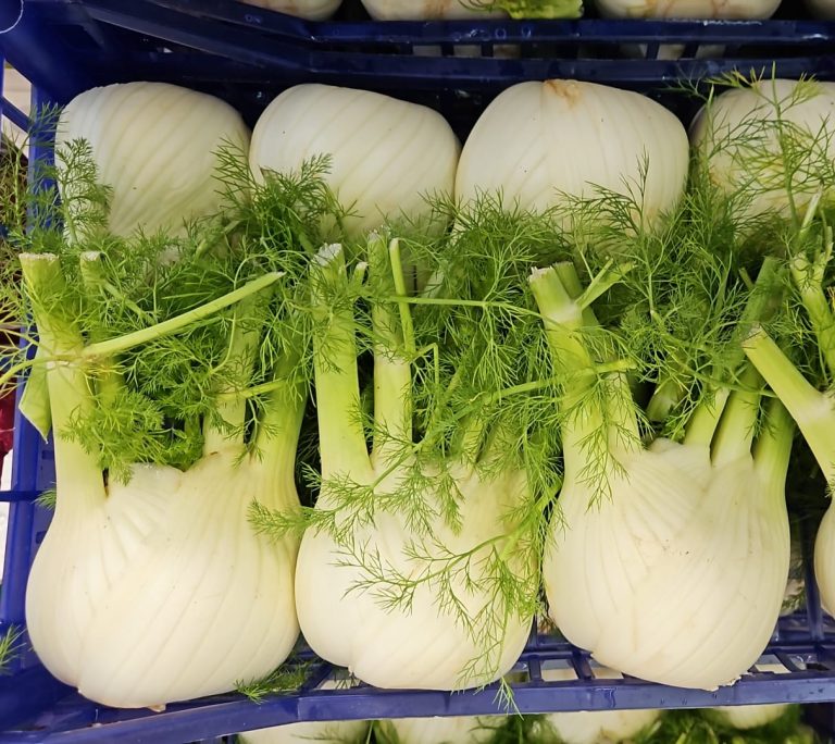 La Borsa della Spesa. Prezzi in calo per fragole, finocchi e vongole lupino