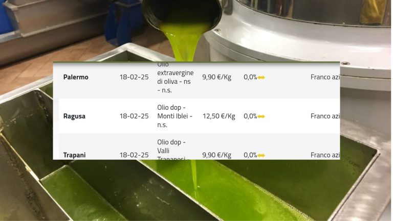 Olio d’oliva, stabili al 18 febbraio le quotazioni dell’extravergine, prezzi invariati anche per Dop e Igp