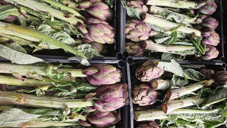 Borsa della Spesa:  In ripresa i carciofi, di ottima qualità e intorno a 0,80 euro al pezzo