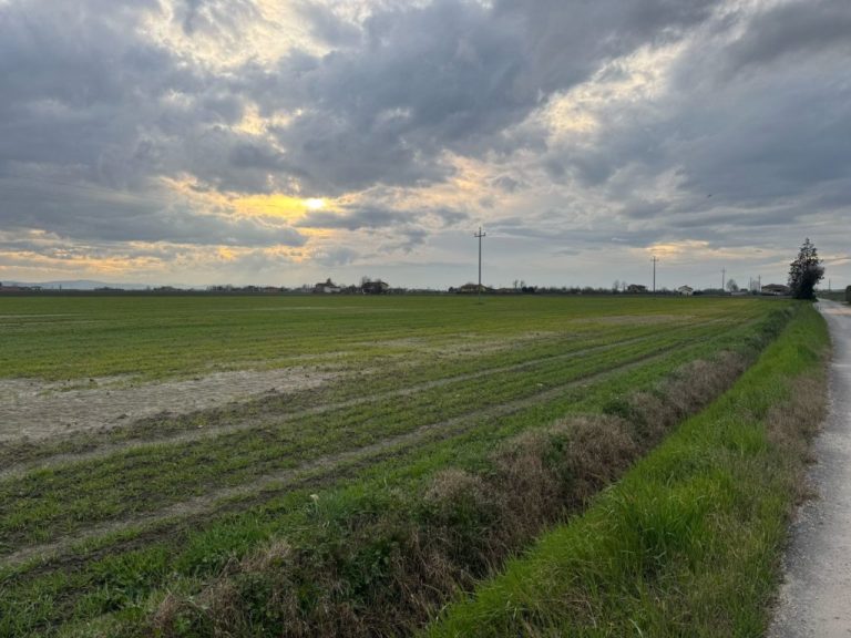 Ancora pioggia. Contoterzisti: Agricoltura romagnola in difficoltà