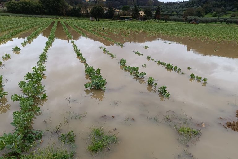 Polizze assicurative per calamità e catastrofi naturali, Uncai: Servono tre mesi di rinvio