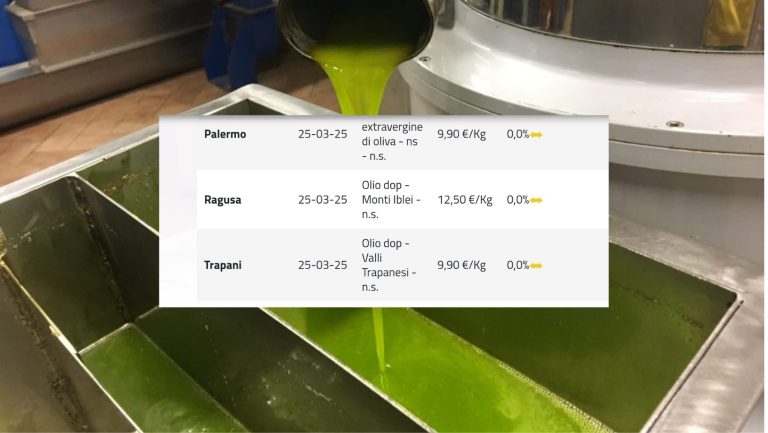 Olio d’oliva, quotazioni dell’extravergine al 25 marzo in rialzo in Puglia (9,30 euro/kg)