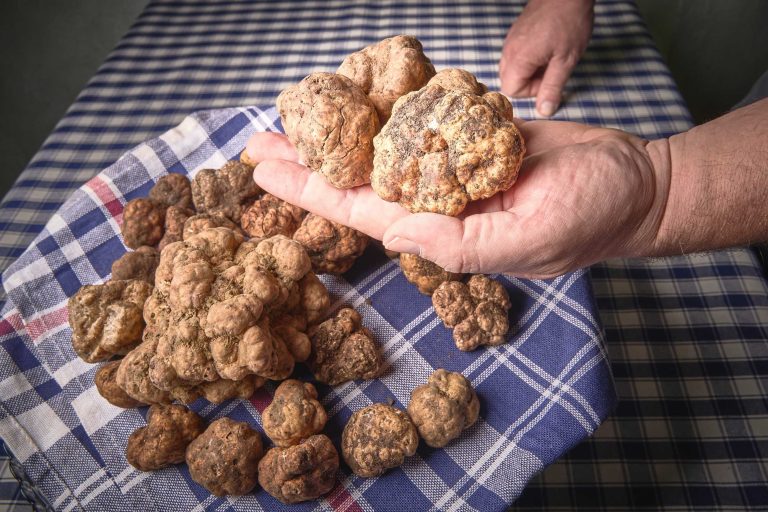 A San Giovanni d’Asso è stagione di tartufi dal 22 marzo