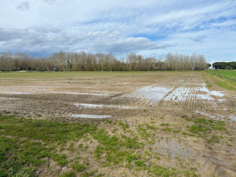 Troppa pioggia, agricoltura romagnola devastata. 4 milioni di danni per le produzioni delle Cooperative agricole braccianti